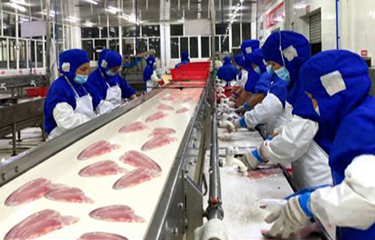 supplier seafood