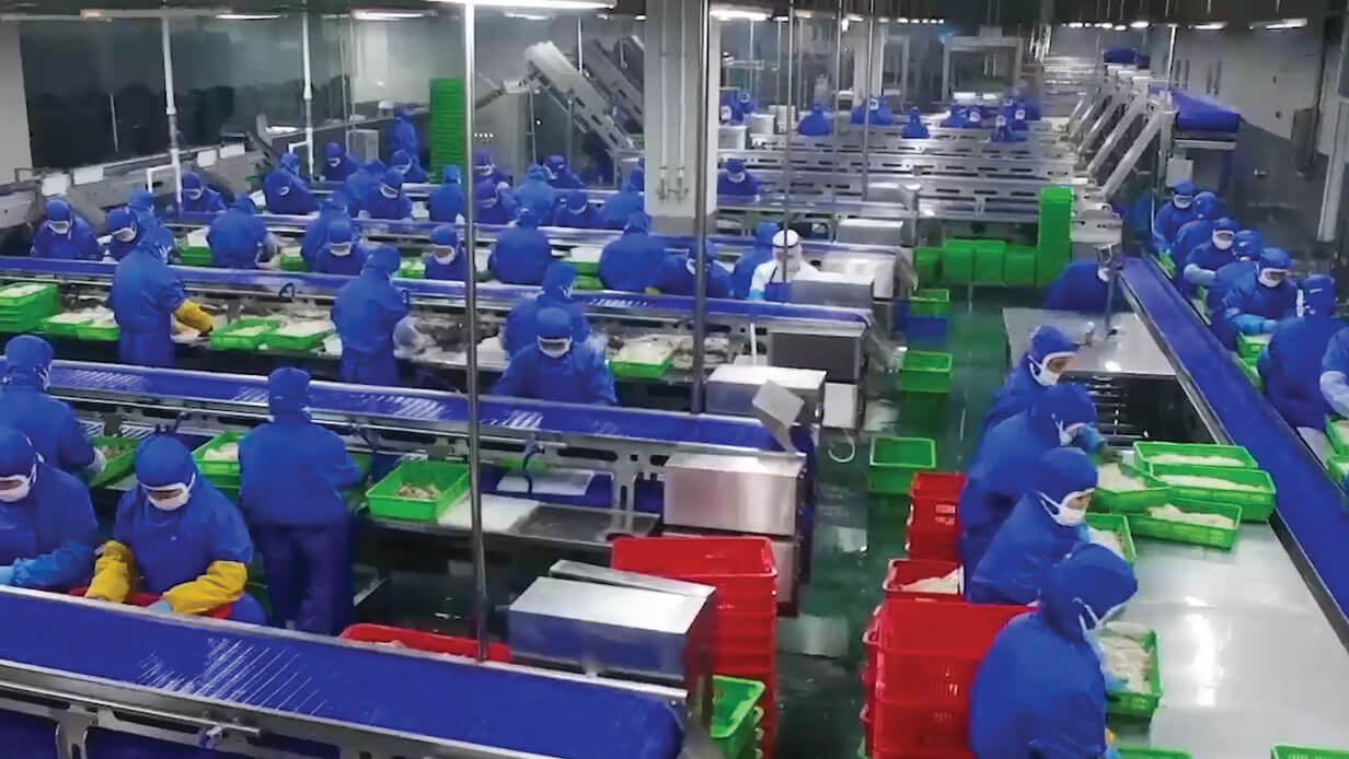 supplier seafood
