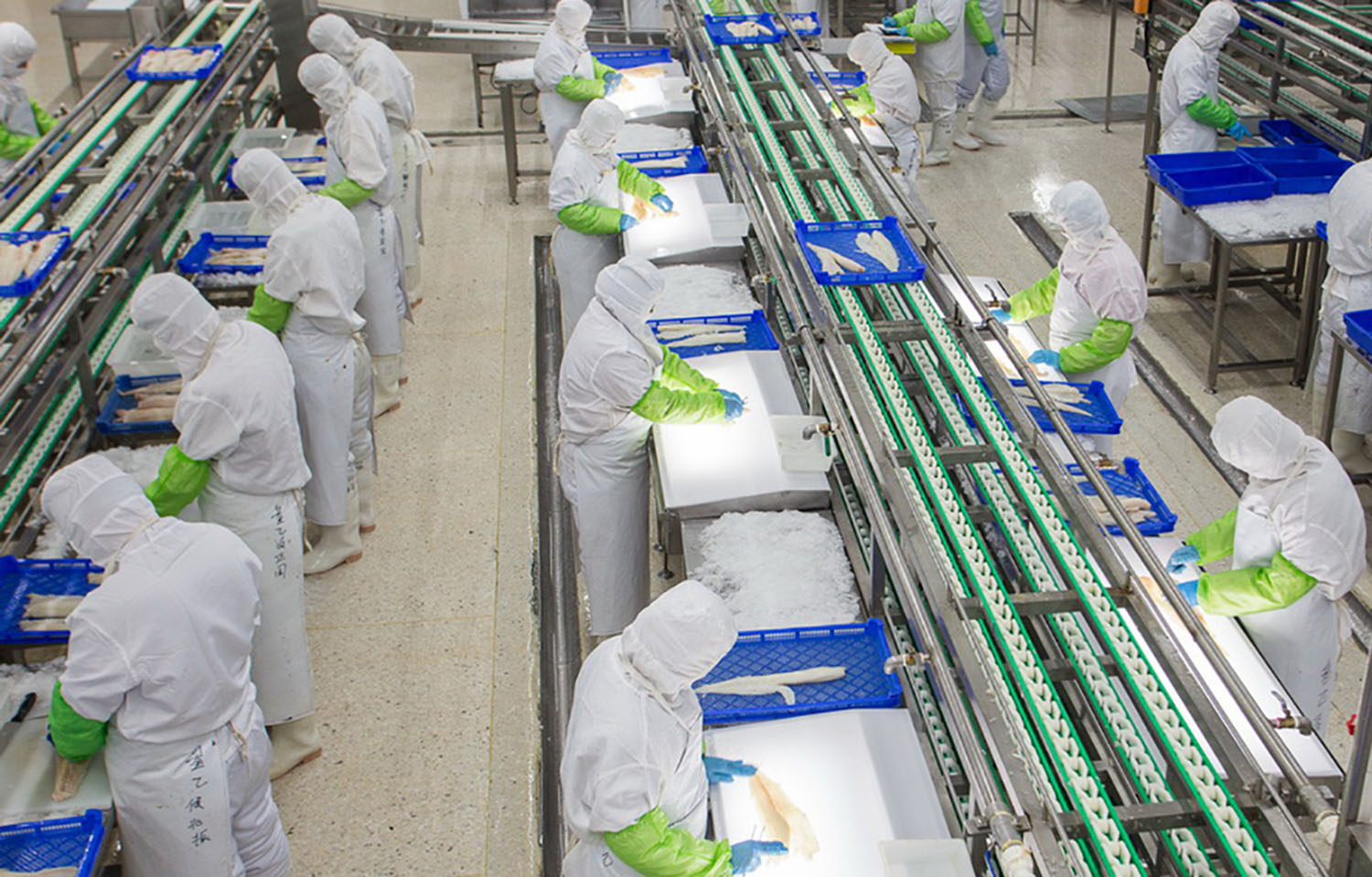 supplier seafood