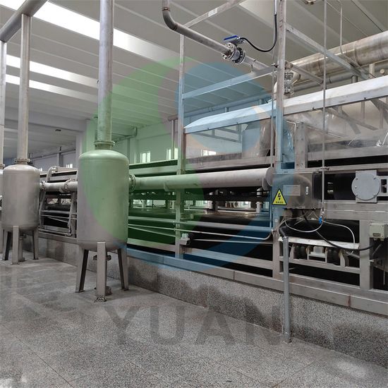 citric acid manufacturer