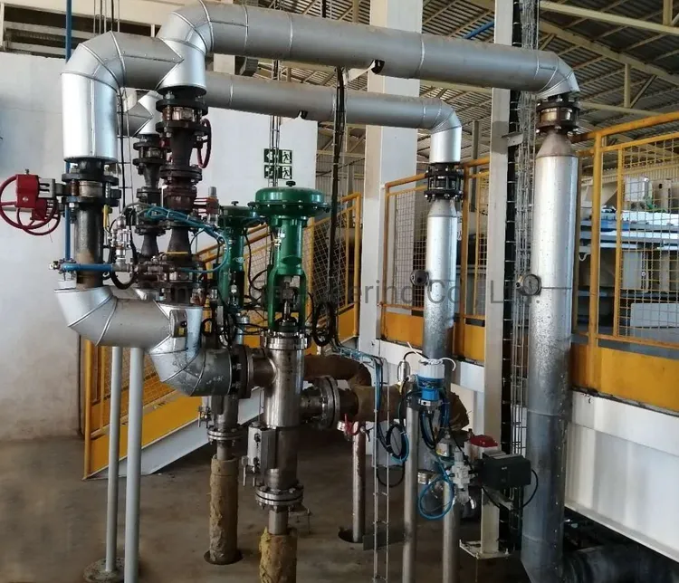 citric acid manufacturer