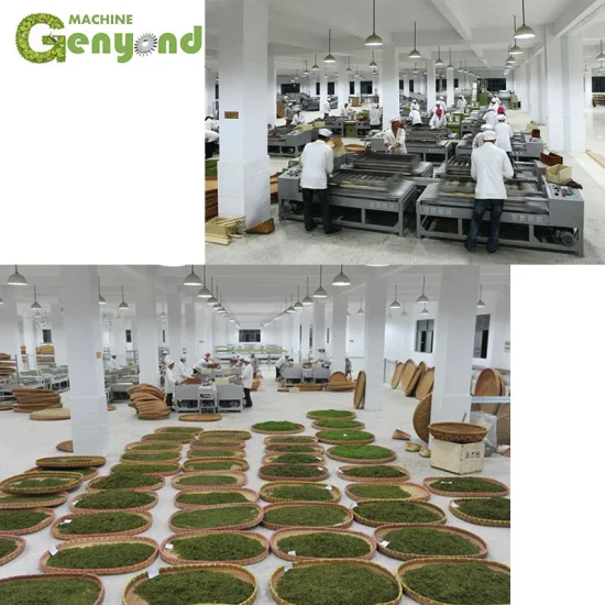 tea supplier