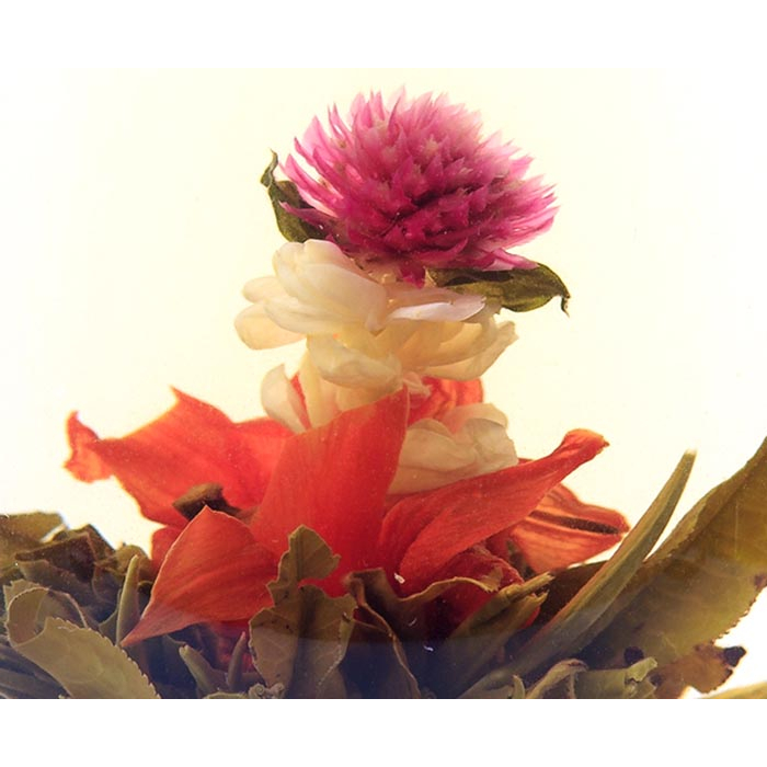 teasenz blooming tea wholesale supplier