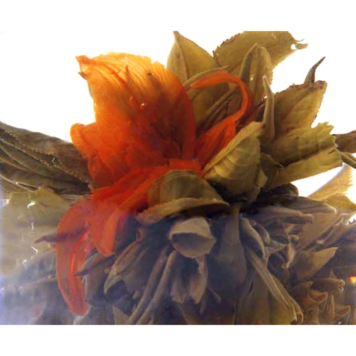 teasenz blooming tea wholesale supplier