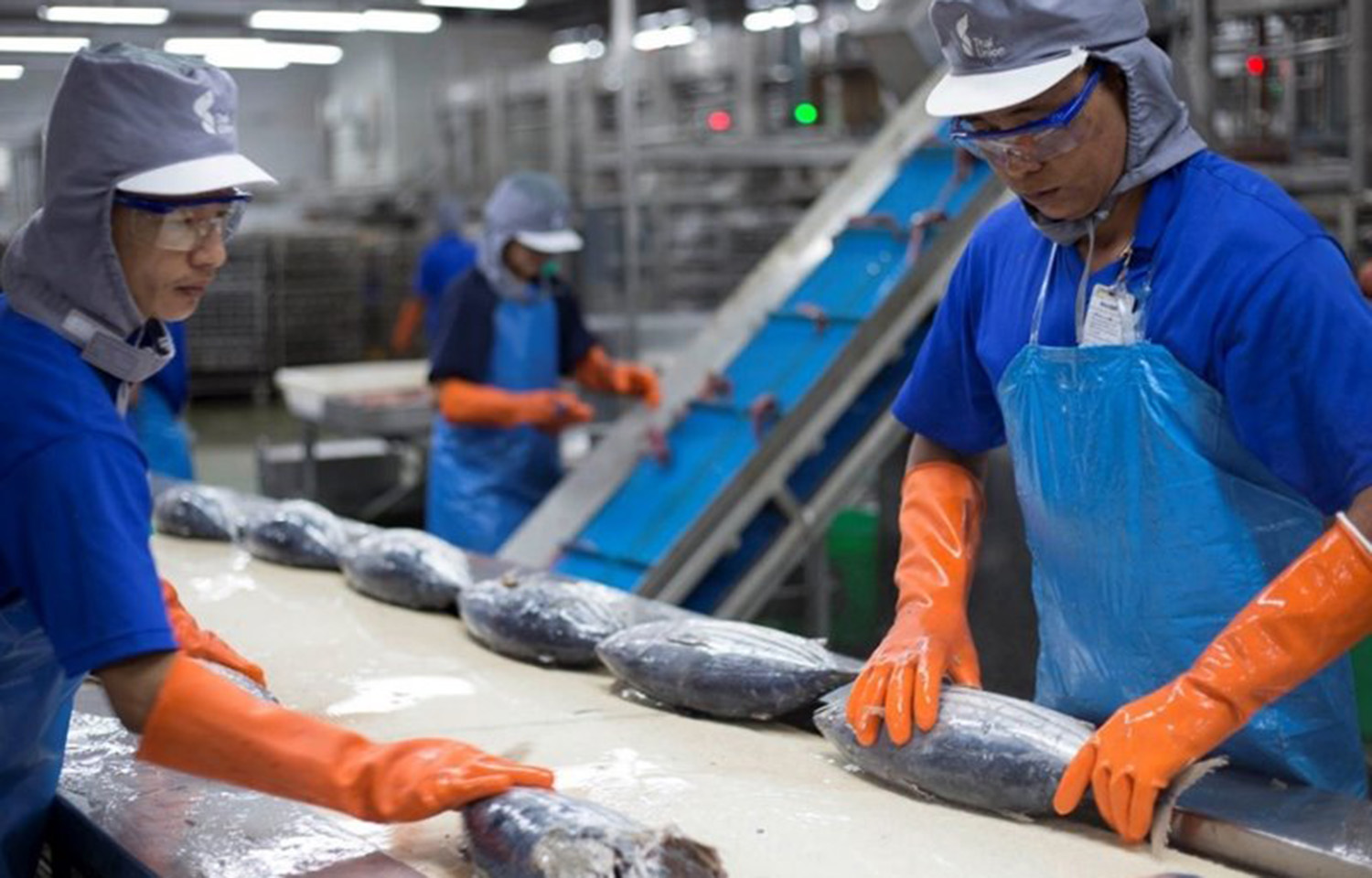 thai food product supplier