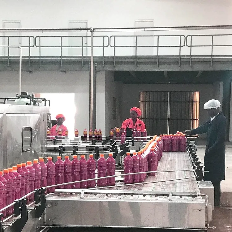tomatoes supplier