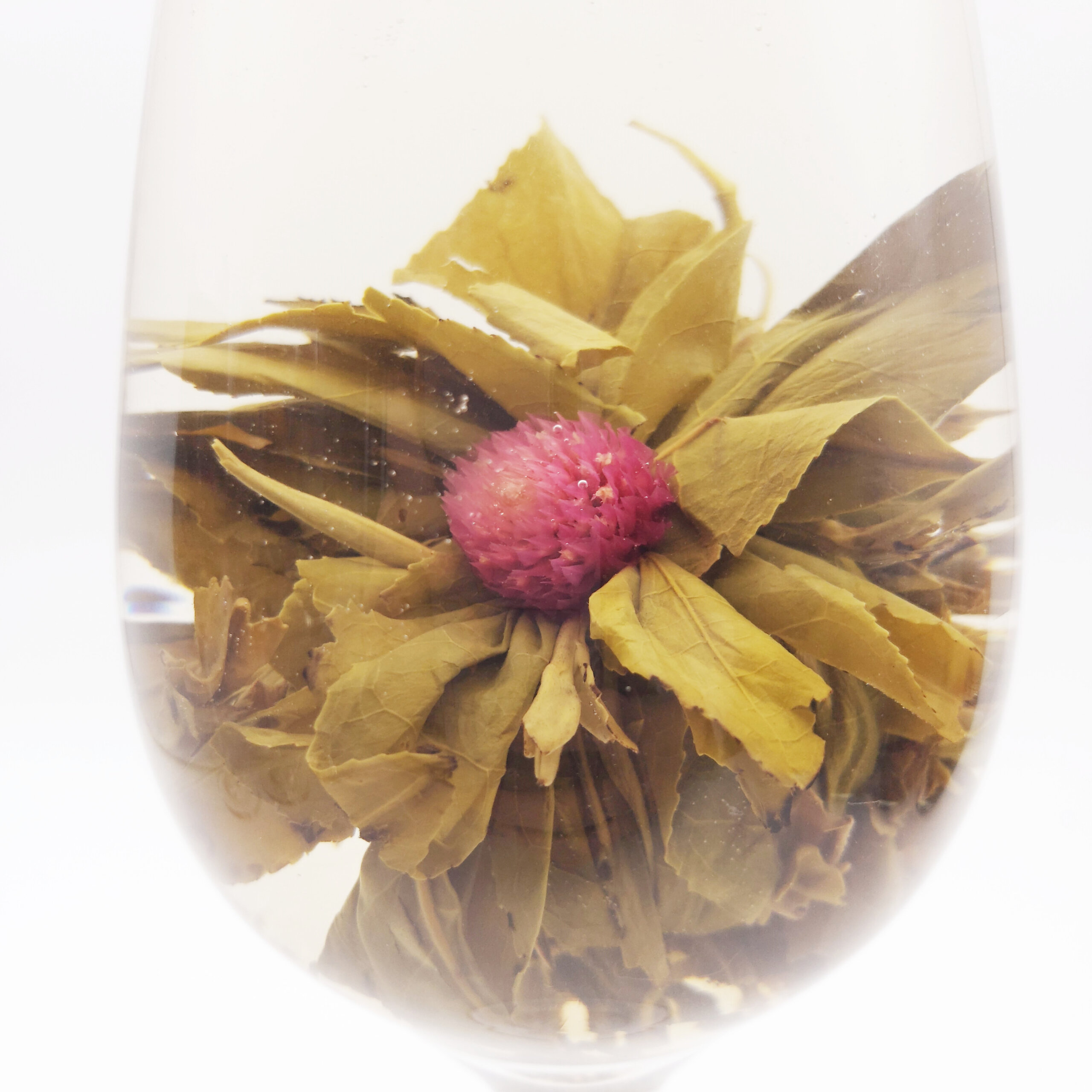 wholesale blooming tea europe supplier