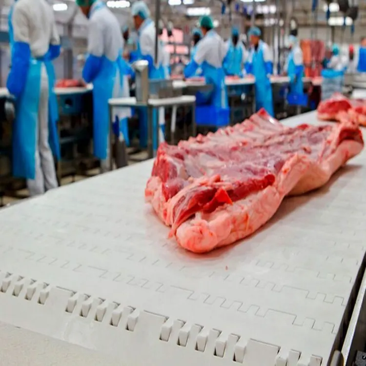 wholesale meat supplier