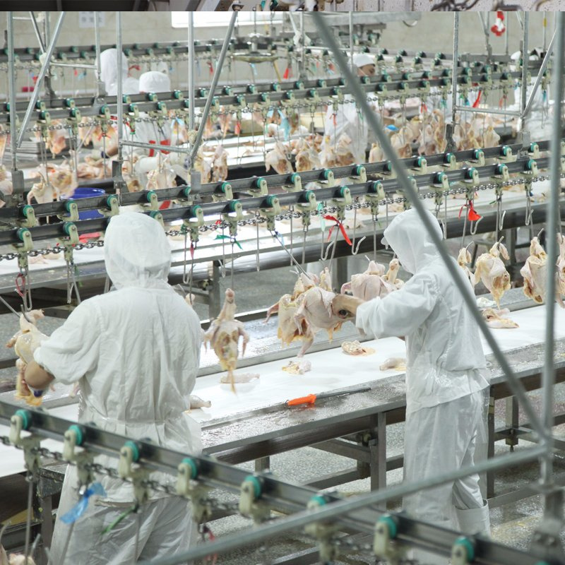 wholesale restaurant meat supplier