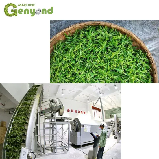 Sourcing Wholesale Tea Supplier from China: The Ultimate Guide 2026