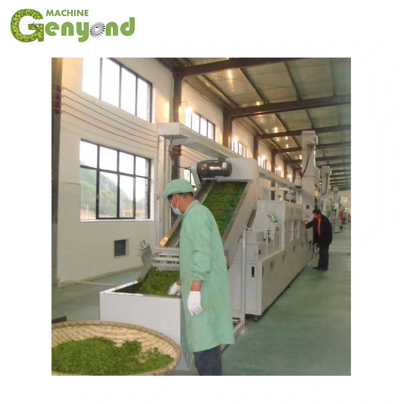 wholesale tea supplier