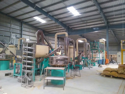 Spice industry insight