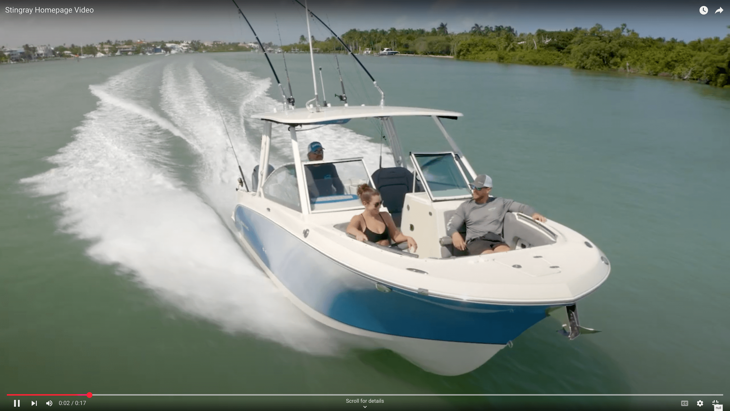 Stingray Boats