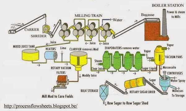 Sugar industry insight