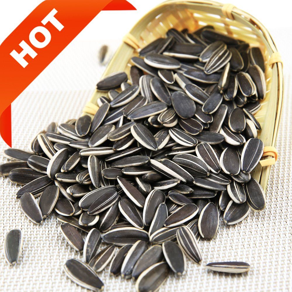 sunflower seed 363,China price supplier