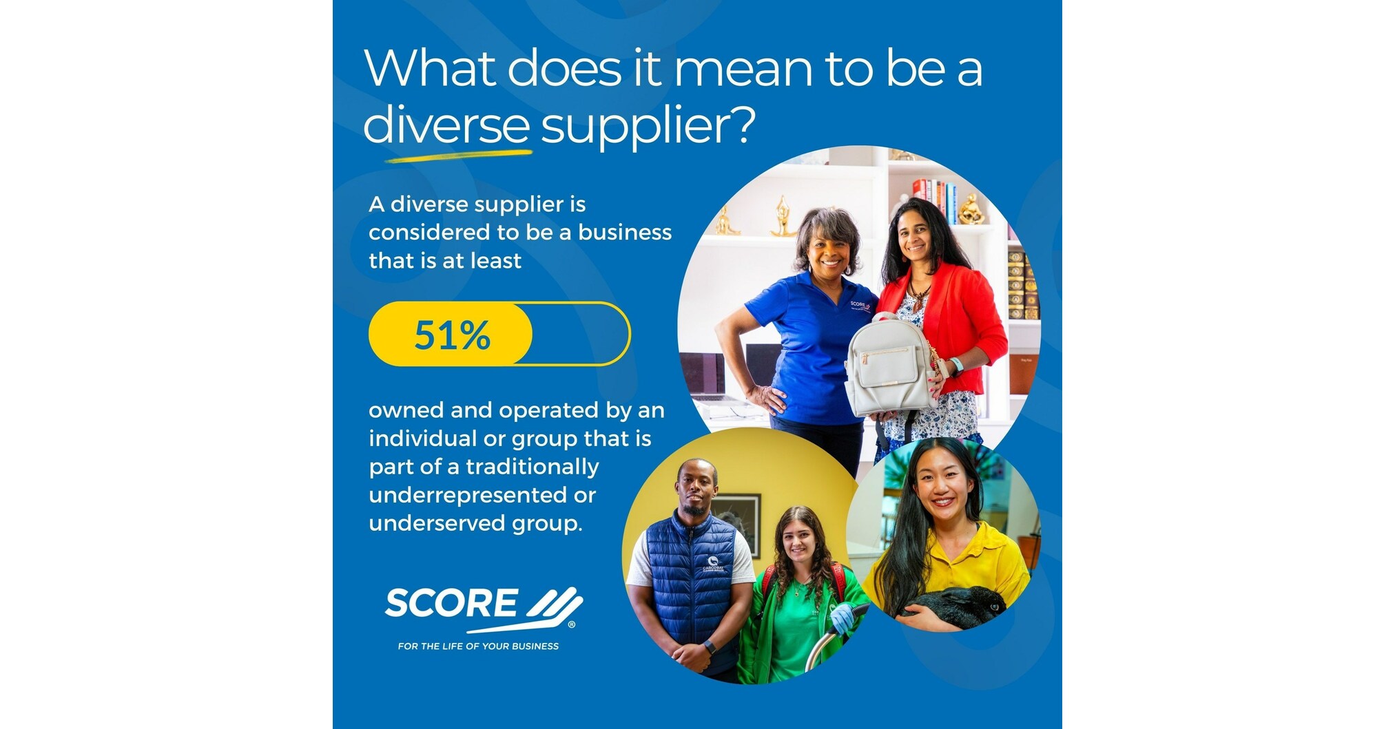 Supplier Diversity