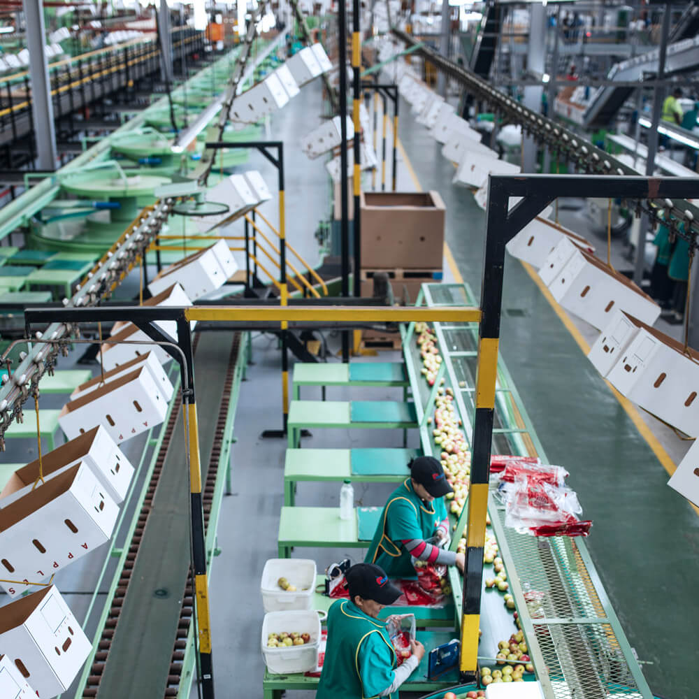 Due Diligence industry insight