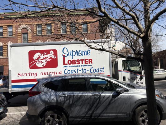 Supreme Lobster