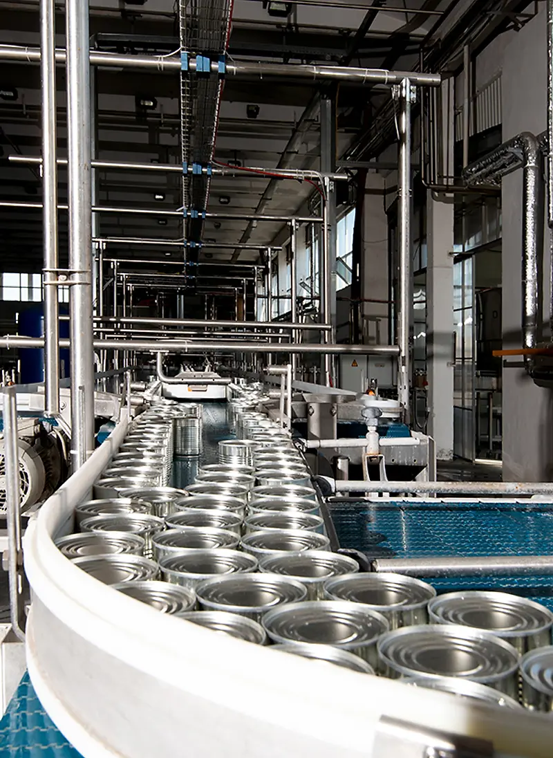 Sustainable Packaging industry insight
