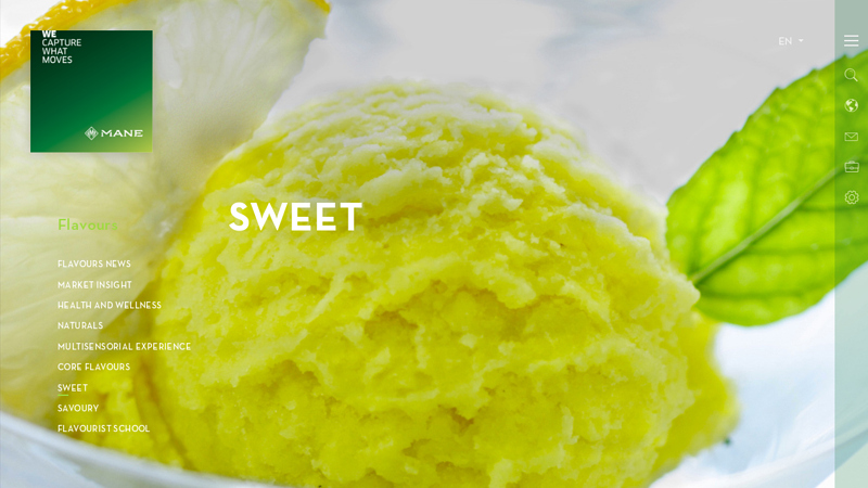 Sweet, Flavor manufacturer