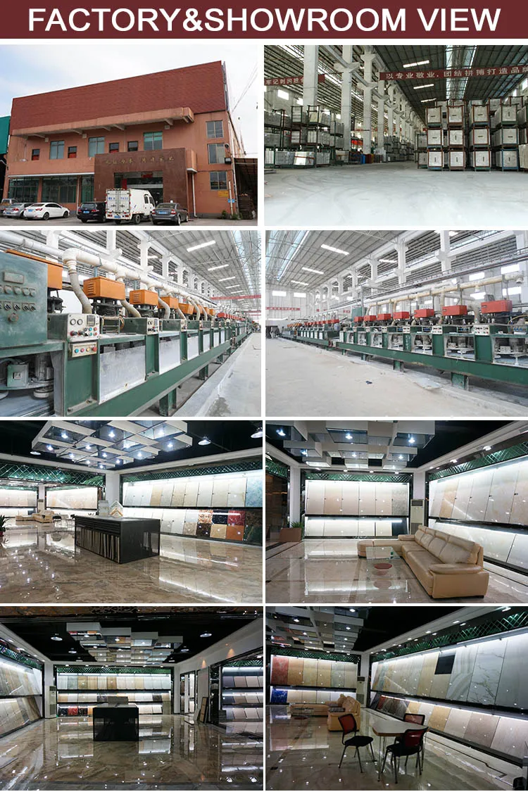 Swimming Pool Tile industry insight