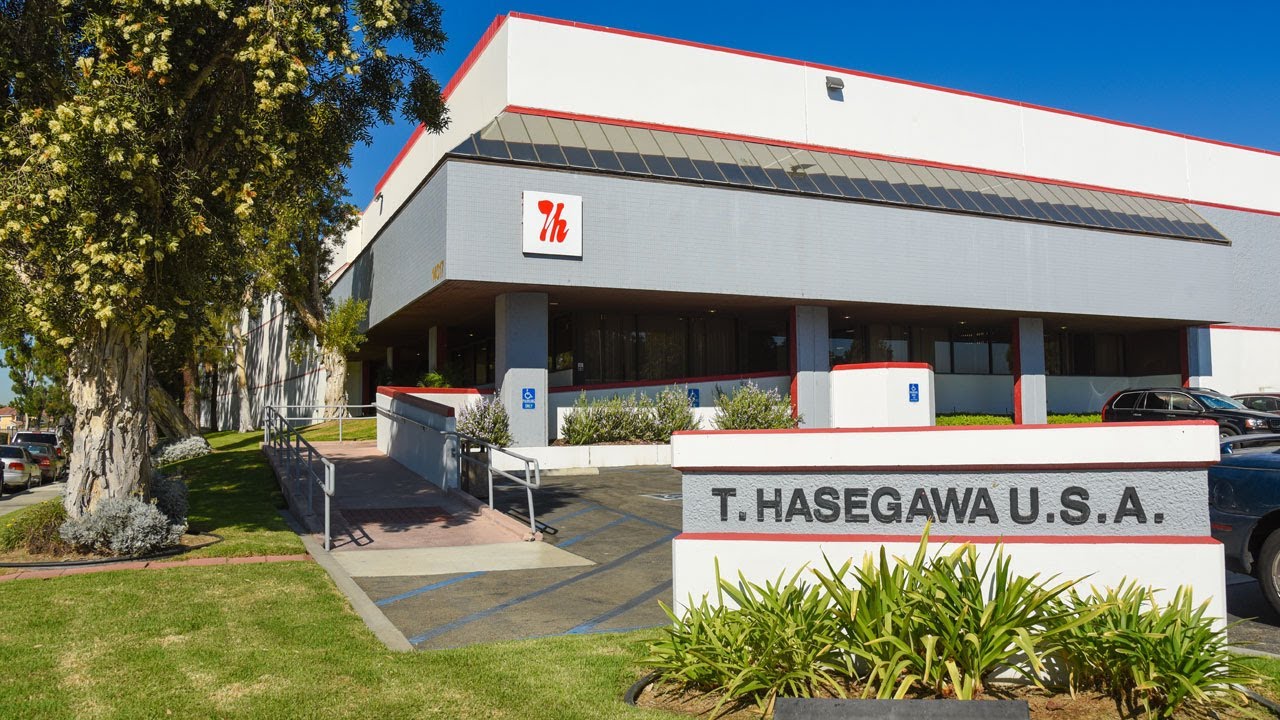 T. Hasegawa