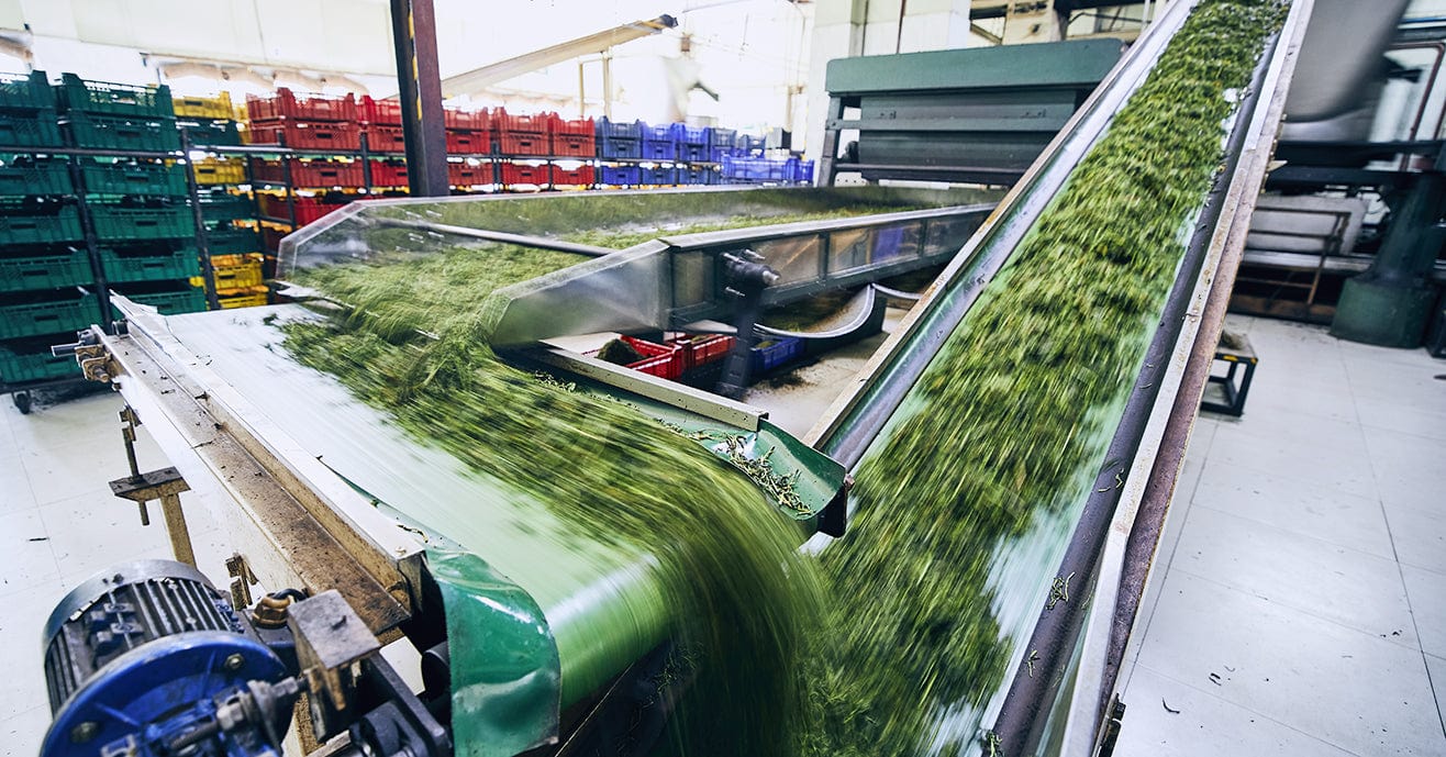 Tea In Usa industry insight