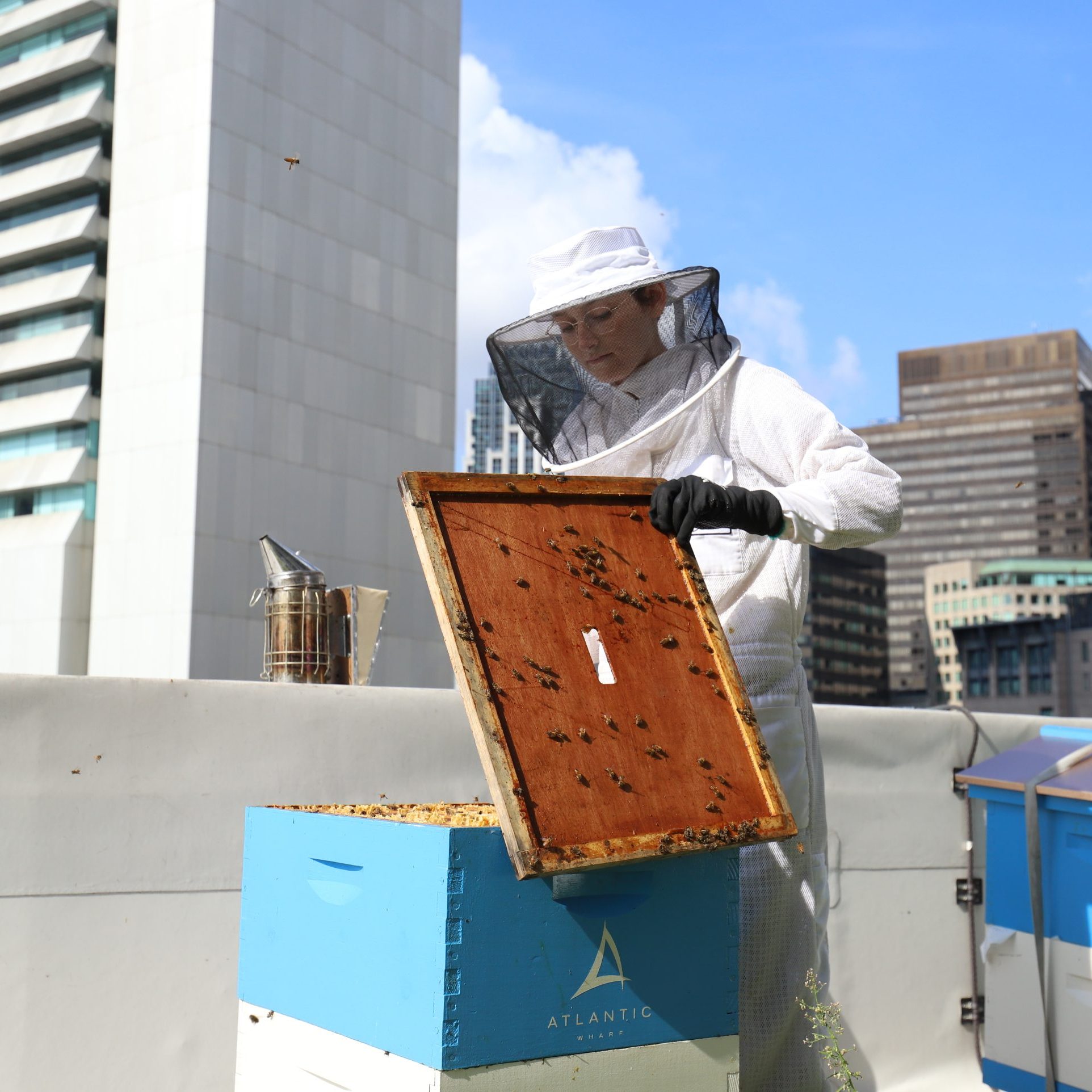 The Best Bees Company