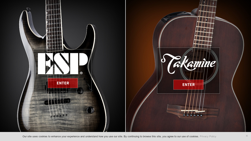 The ESP Guitar Company