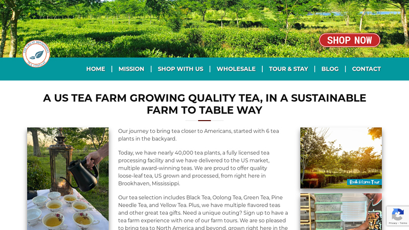 The Great Mississippi Tea Company