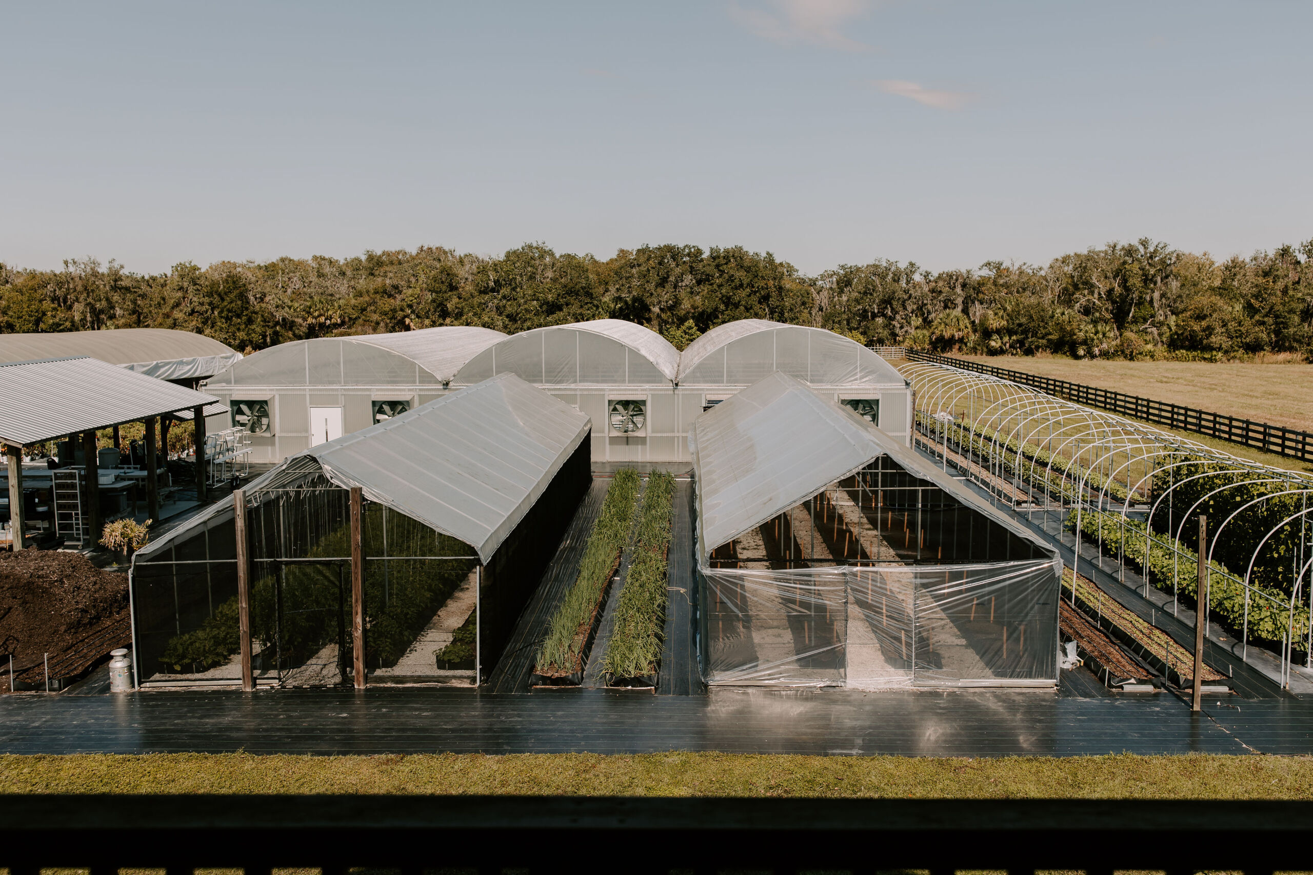 The Homestead Hydroponic Farm