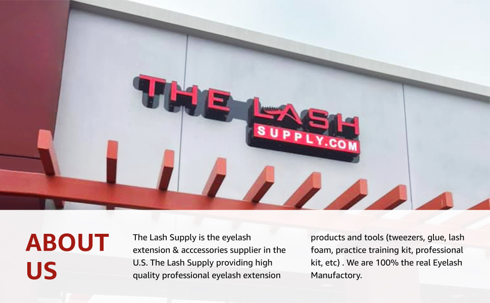 The Lash Professional