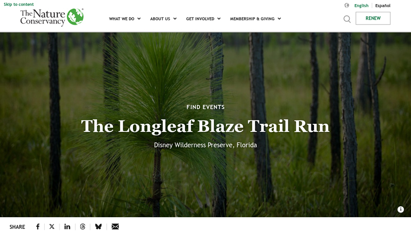 The Longleaf Blaze at Disney Wilderness Preserve Trail Run Feb 15