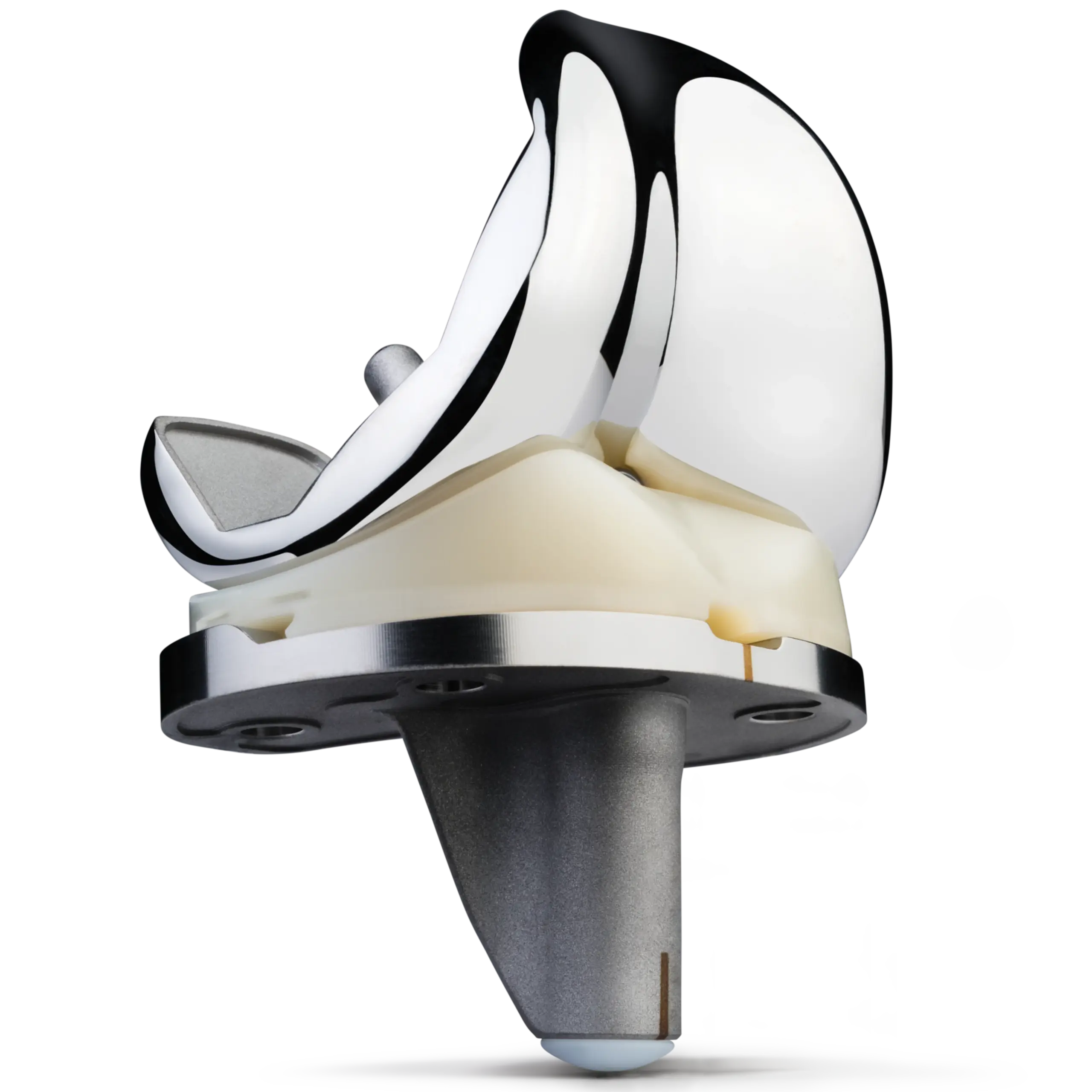 The Personalized Knee® by Zimmer Biomet