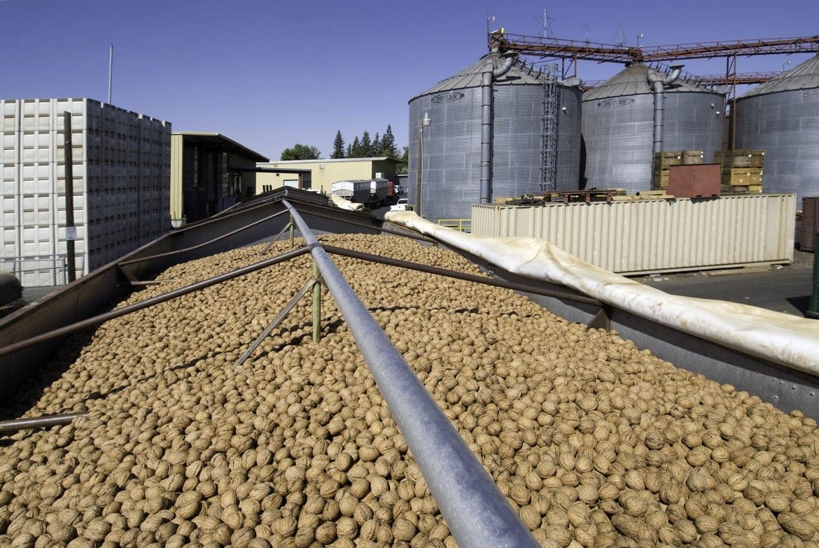 to California Walnuts