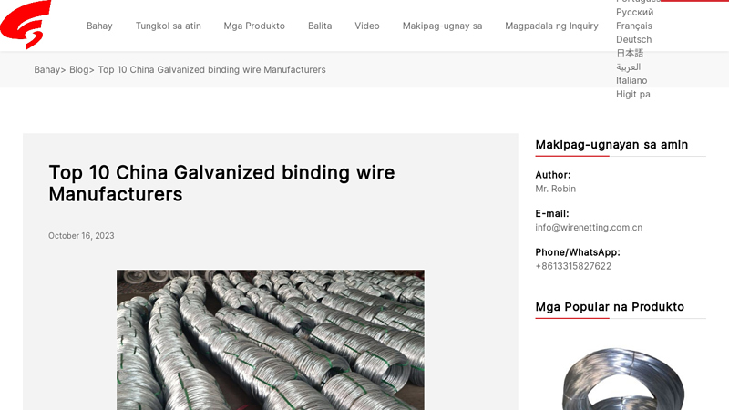 Top 10 China Galvanized binding wire Manufacturers