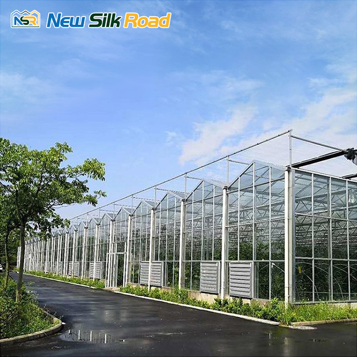 Top 100 Greenhouse Companies in China (2025)
