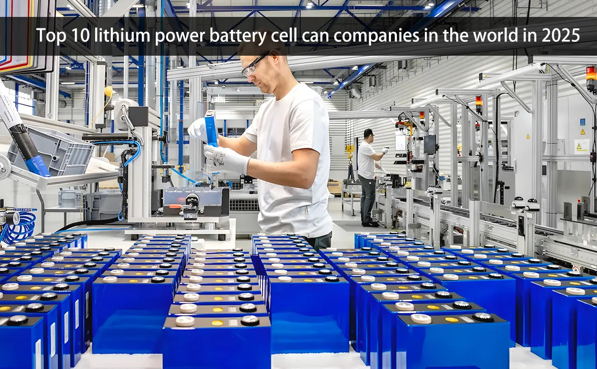 Top Lithium Battery industry insight