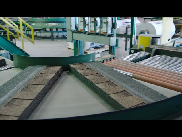 Top Shingle industry insight