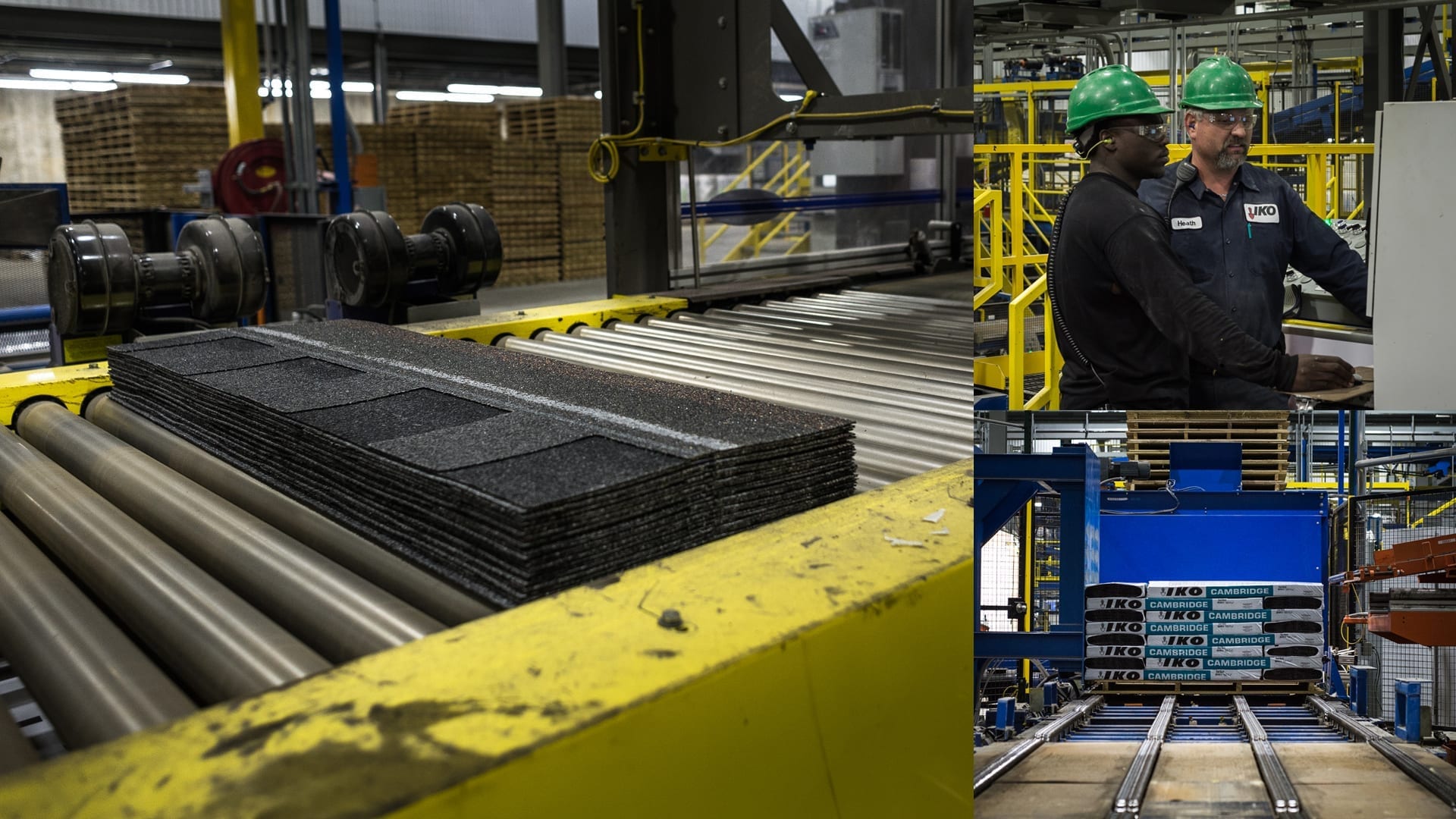 Top Shingle industry insight