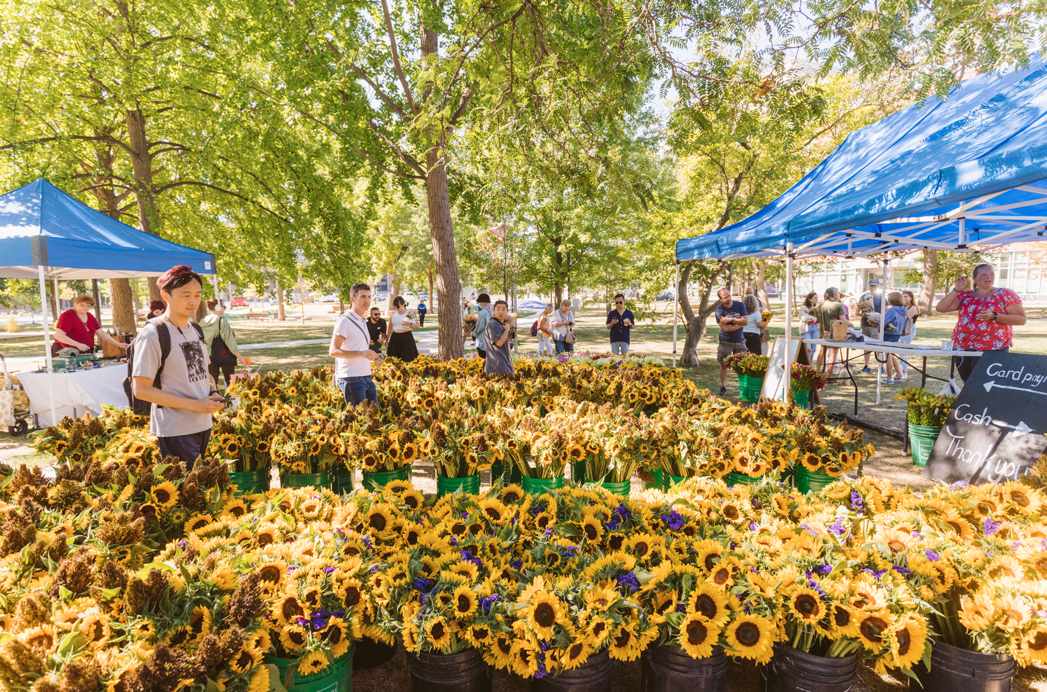 Toronto Flower Market