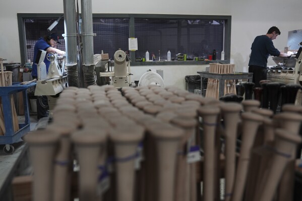 Torpedo Bat industry insight