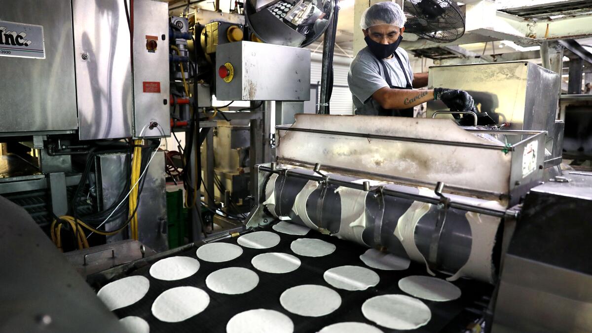 Tortilla industry insight