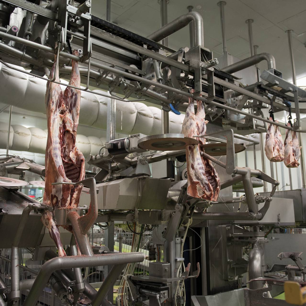 Tyson Foods Of The Year 2018 Winners industry insight