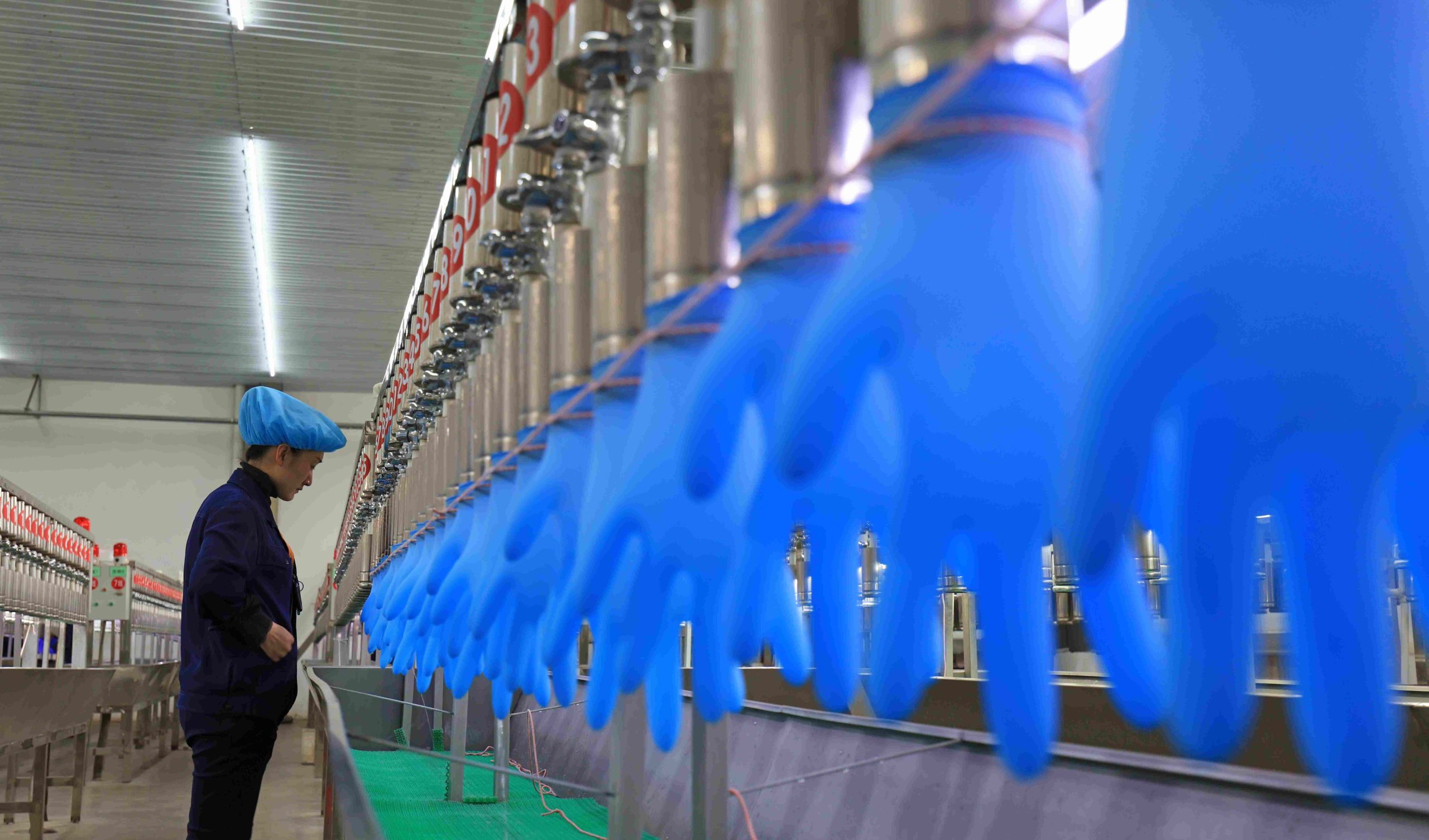 Use Of Poly Gloves industry insight