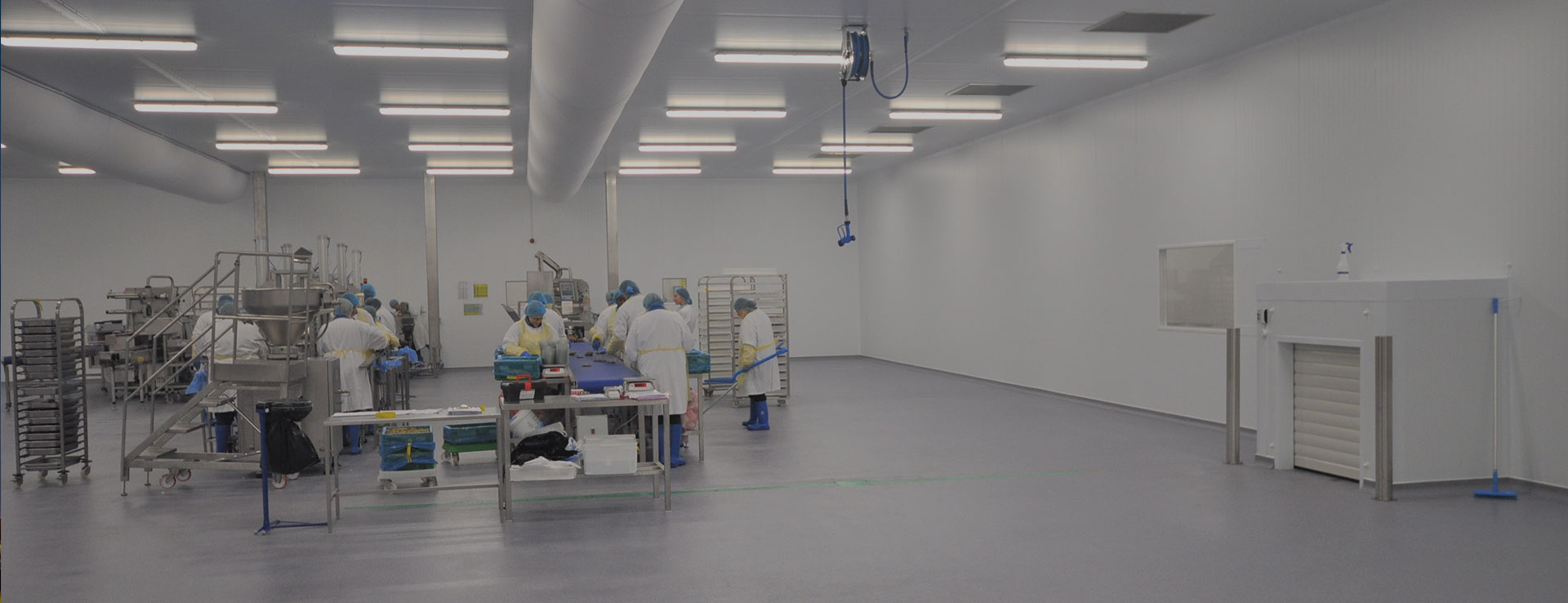 Vapor Lights industry insight