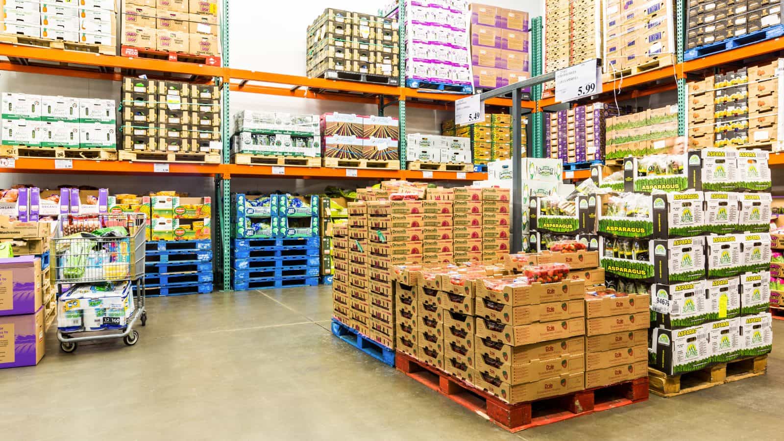 Vendor Suppliers