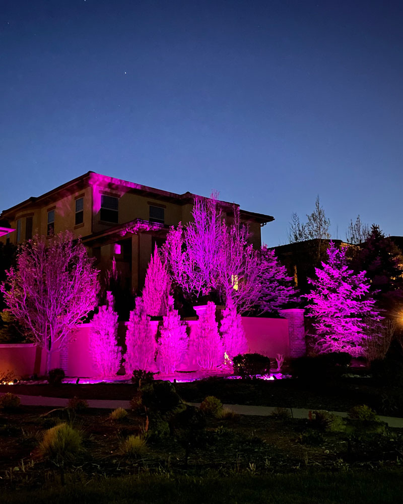 Vista Pro Residential Landscape Lighting