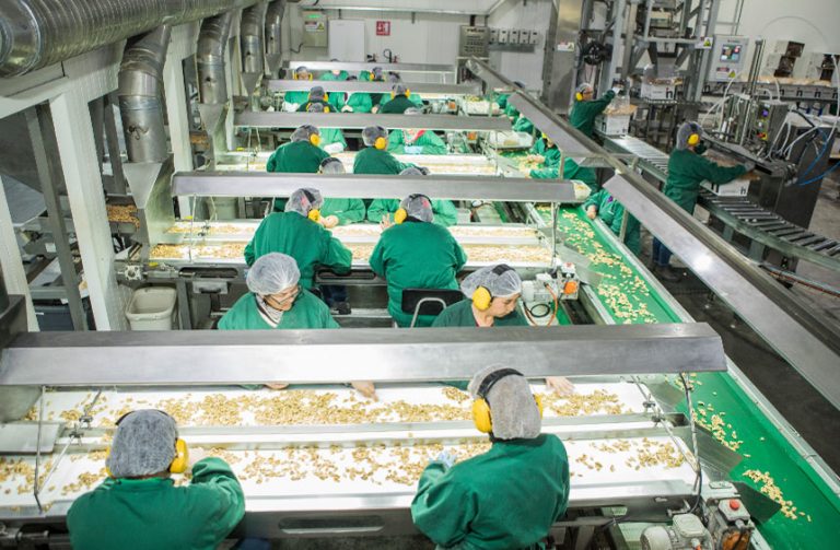 Walnuts industry insight