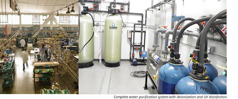 Water Filter industry insight